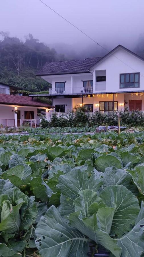 Ng Family'S Farm Stay Cameron Highlands Exterior photo