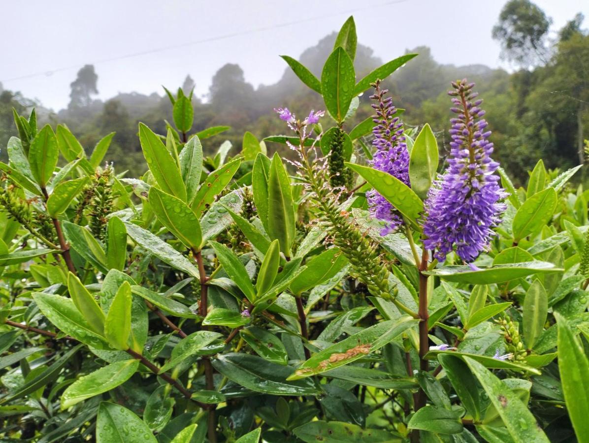 Ng Family'S Farm Stay Cameron Highlands Exterior photo